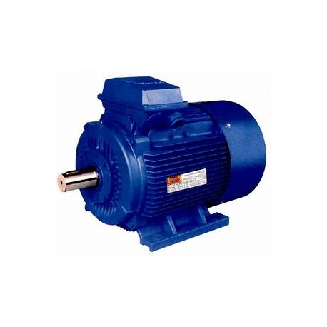 MOTOR TRIF. 75 CV 1000 RPM PATAS B3 380/660V SDF280M-6 B3 660V IE2