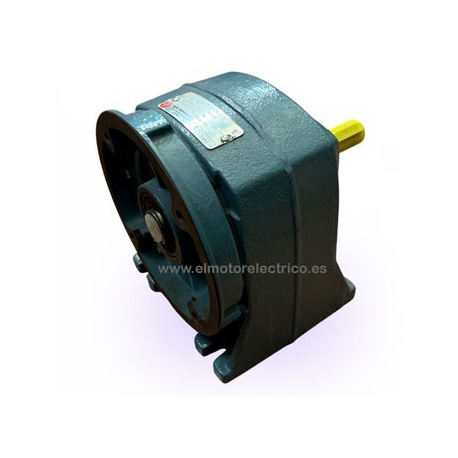 REDUCTOR IPC 102 R:2,93 PAM 200-19 EJE SALIDA 19 MM PUJOL