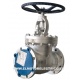 VALVULA GLOBO HIERRO FUNDIDO BONNEY FORGE 4"-150 WCB