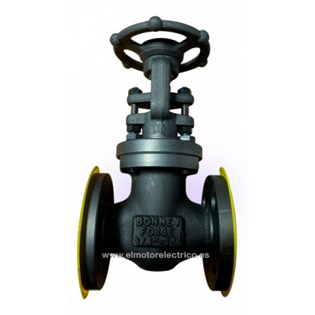 VALVULA GLOBO HIERRO FUNDIDO BONNEY FORGE 3/4"-150 A105N AACV