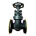VALVULA GLOBO HIERRO FUNDIDO BONNEY FORGE 3/4"-150 A105N AACV