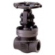 VALVULA GLOBO HIERRO FUNDIDO BONNEY FORGE 1 1/2"-800 A105N AAEC