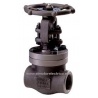 VALVULA GLOBO HIERRO FUNDIDO BONNEY FORGE 1 1/2"-800 A105N AAEC