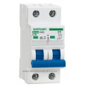 MAGNETOTERMICO BIPOLAR 16A WERDEN
