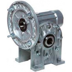 REDUCTOR MI50A R:1/40 PAM 160-14 CON PATAS SITI EJE SALIDA 24 MM.