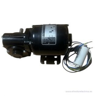 MOTOREDUCTOR NSI-12R BODINE ELECTRIC