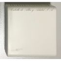 SENSOR DE TEMPERATURA RS9140-0000 JOHNSON
