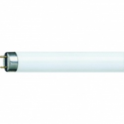 TUBO FLUORESCENTE LT 58W - 865 LUZ DIA  150CM