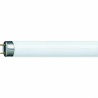 TUBO FLUORESCENTE 36W