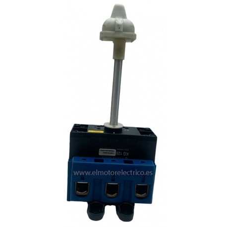 INTERRUPTOR KG125  TRAS CUADRO 125AMP 