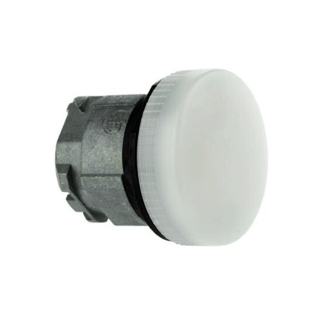 CABEZA CONTROL BLANCO TELEMECANIQUE  ZB4BV01