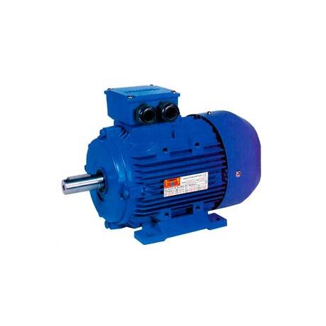 MOTOR TRIF. 1.5 CV 1500 RPM PATAS B3 220/380V Black Thunder MS90S-4 B3